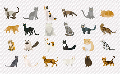 cats look wallpaper mural plain