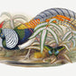 Plain and patterned Thaumalea Amherstiae wallpaper mural
