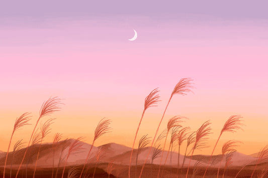 Decorated with Pink Sunset Wallpaper Mural