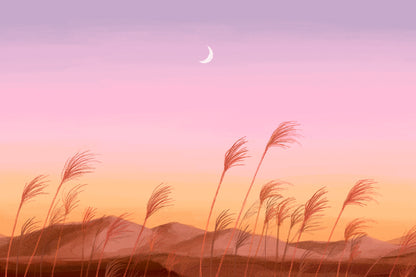 Decorated with Pink Sunset Wallpaper Mural