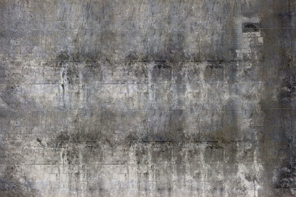 grunge concrete wall mural home interior decoration
