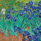 Irises Wallpaper Mural