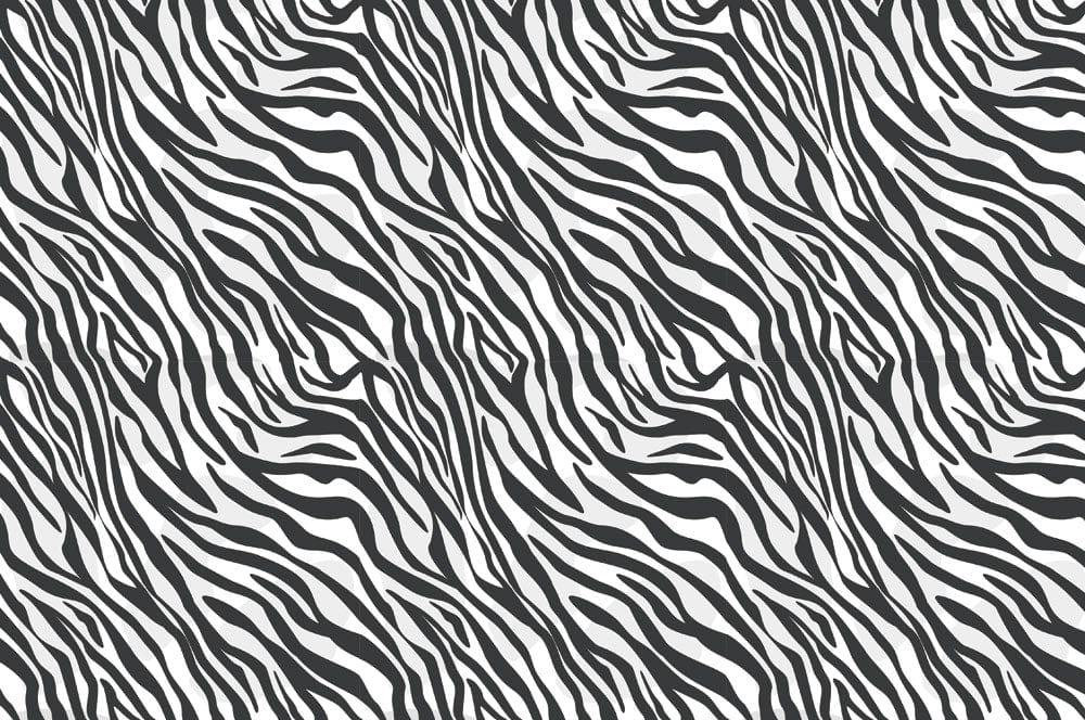 Modern Black White Zebra Mural Wallpaper
