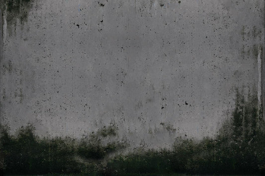 green moss and gray wall industrial wallpaper