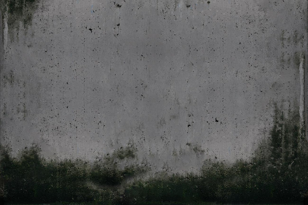 Industrial Concrete Textured Grey Mural Wallpaper