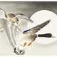 Two Ducks Custom Animal Mural Art