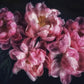 large petals wallpaper mural home interior decor