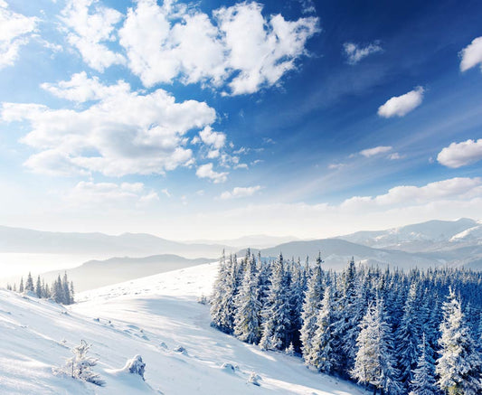 Clear Sky Following Snow Scene Wallpaper Mural for Home Decoration