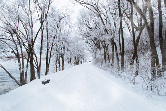 snow forest mural wallpaper decoration idea