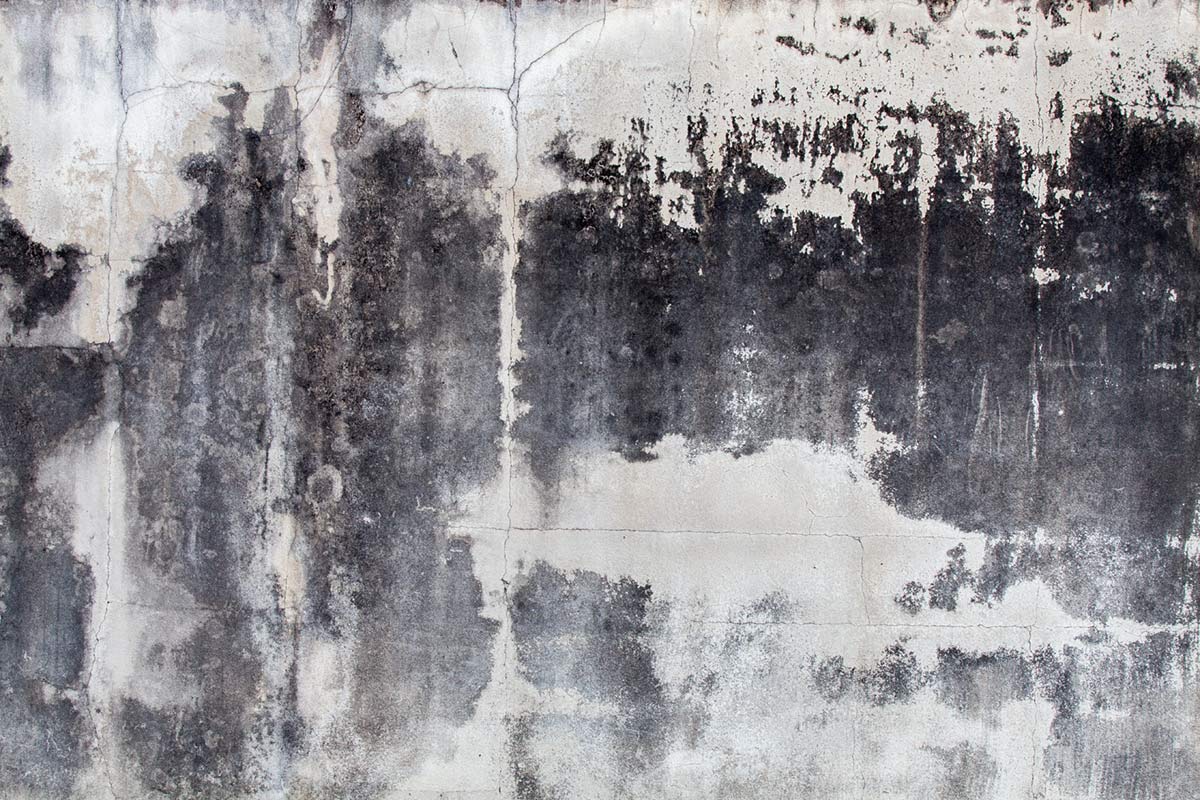 Urban Concrete Textured Grey Wallpaper