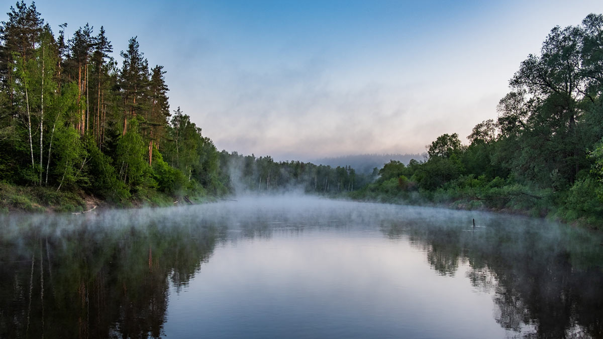 Misty Forest Lake Scenic Wallpaper Mural