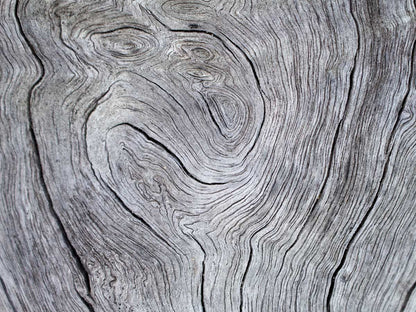 Gray Wood Grain Wall Mural Home Decor