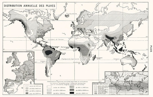 Annual Rainfall Distribution Custom Wallpaper Mural