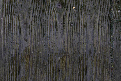 vivid green wood wallpaper mural art design