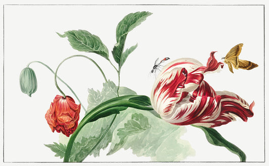 Elegant Tulips and Butterfly Botanical Illustration Mural