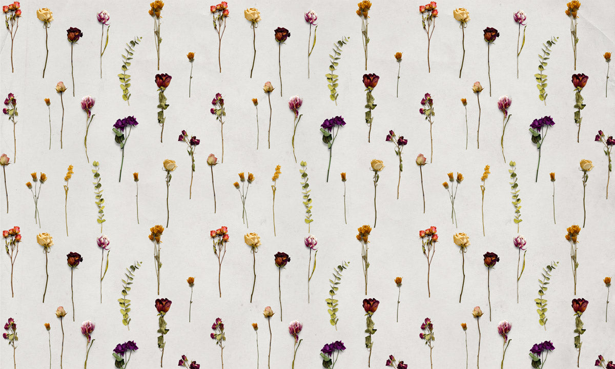 Dride Flowers Custom Wall Mural Art Design