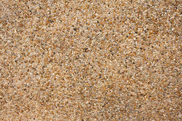 Neutral Textured Sand Mural Wallpaper | Ever Wallpaper