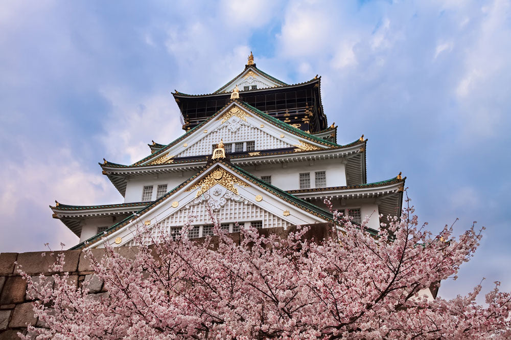 Japanese Cherry Blossom Castle Mural Wallpaper