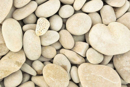 Large White Pebbles Printed Wallpaper Mural for Interior Home Decoration