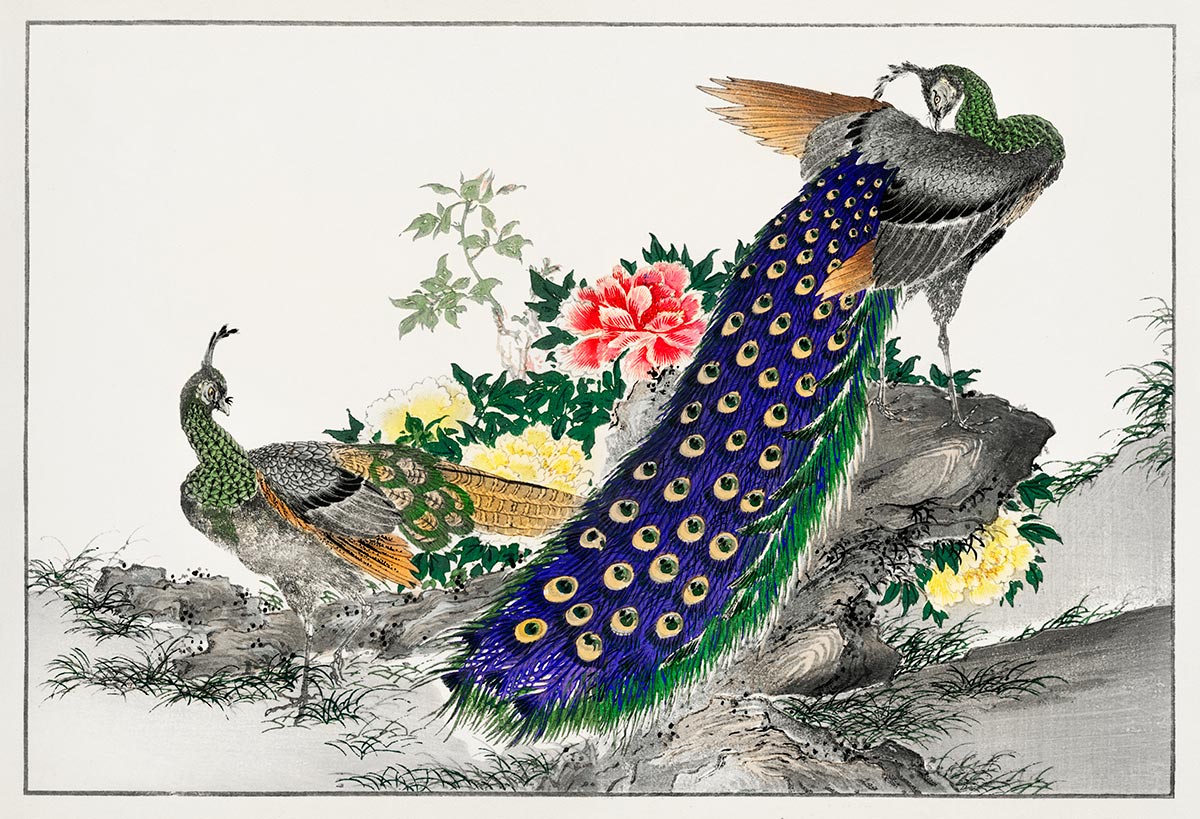 Elegant Peacock Floral Mural Wallpaper