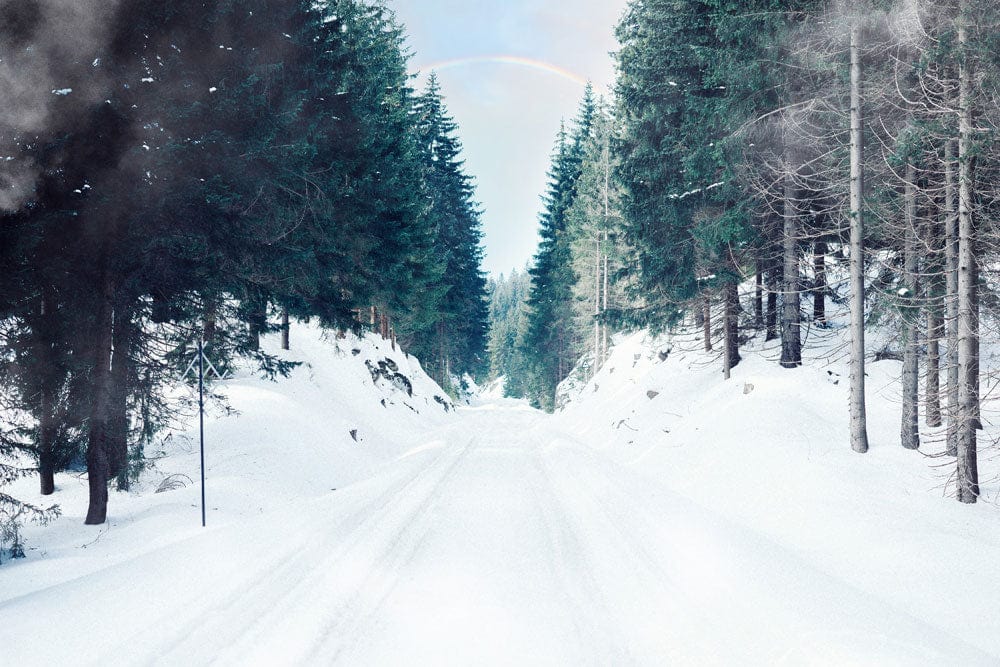 Serene Winter Waldstraße Wandtapete