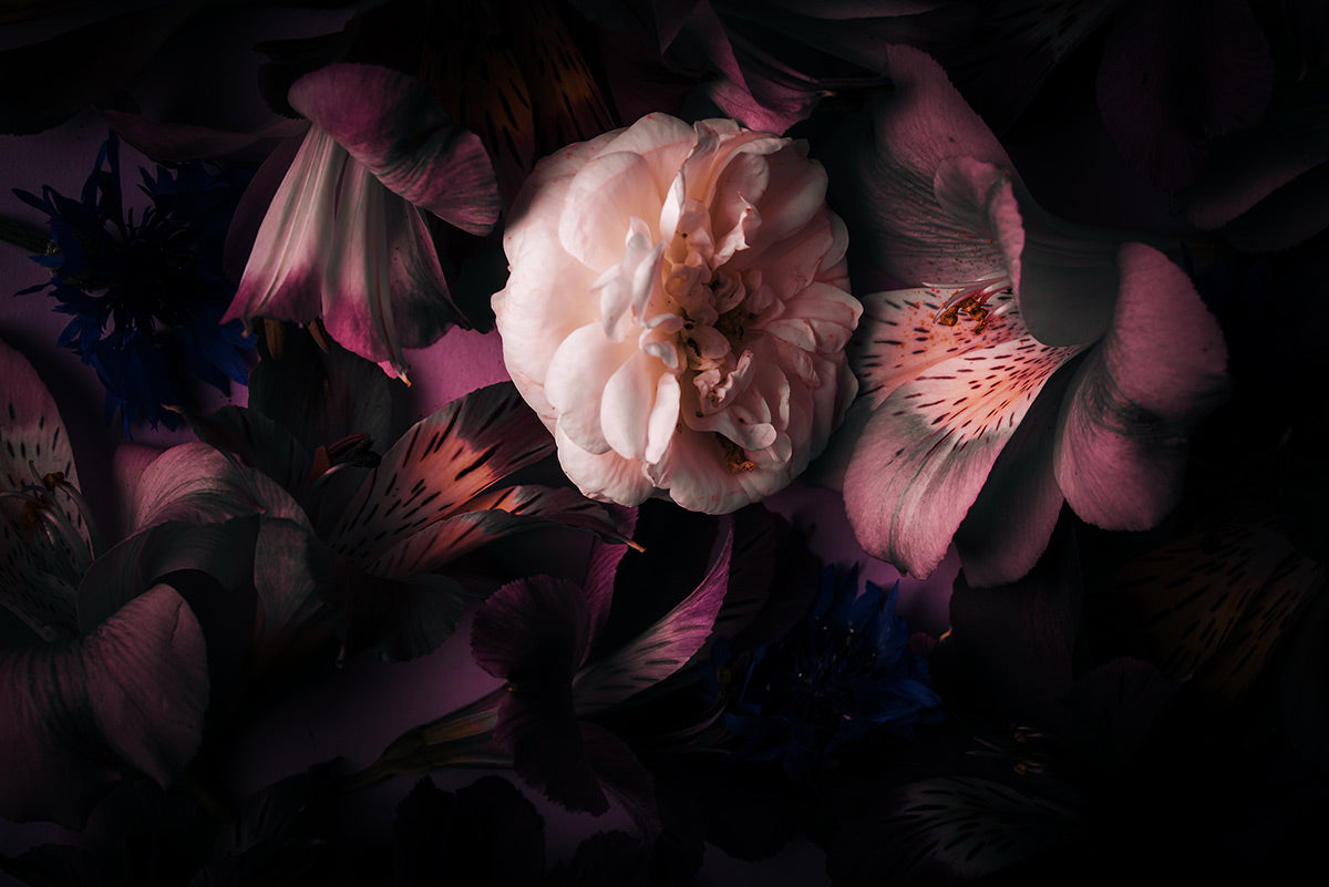 Dark Floral Elegance Mural Wallpaper