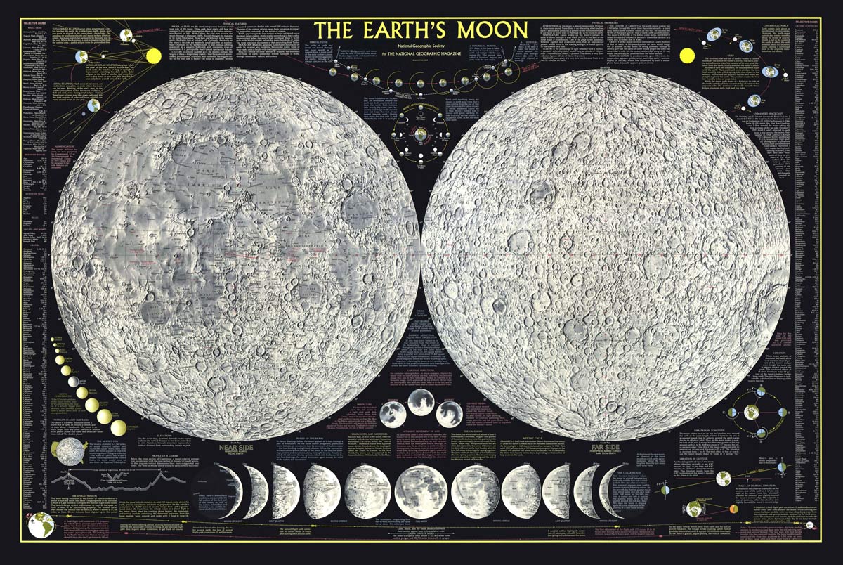 Educational Moon Phases Mural Wallpaper