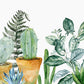 Cactus Plants Custom Wallpaper Mural