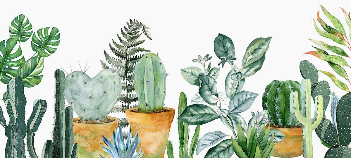 Cactus Plants Custom Wallpaper Mural