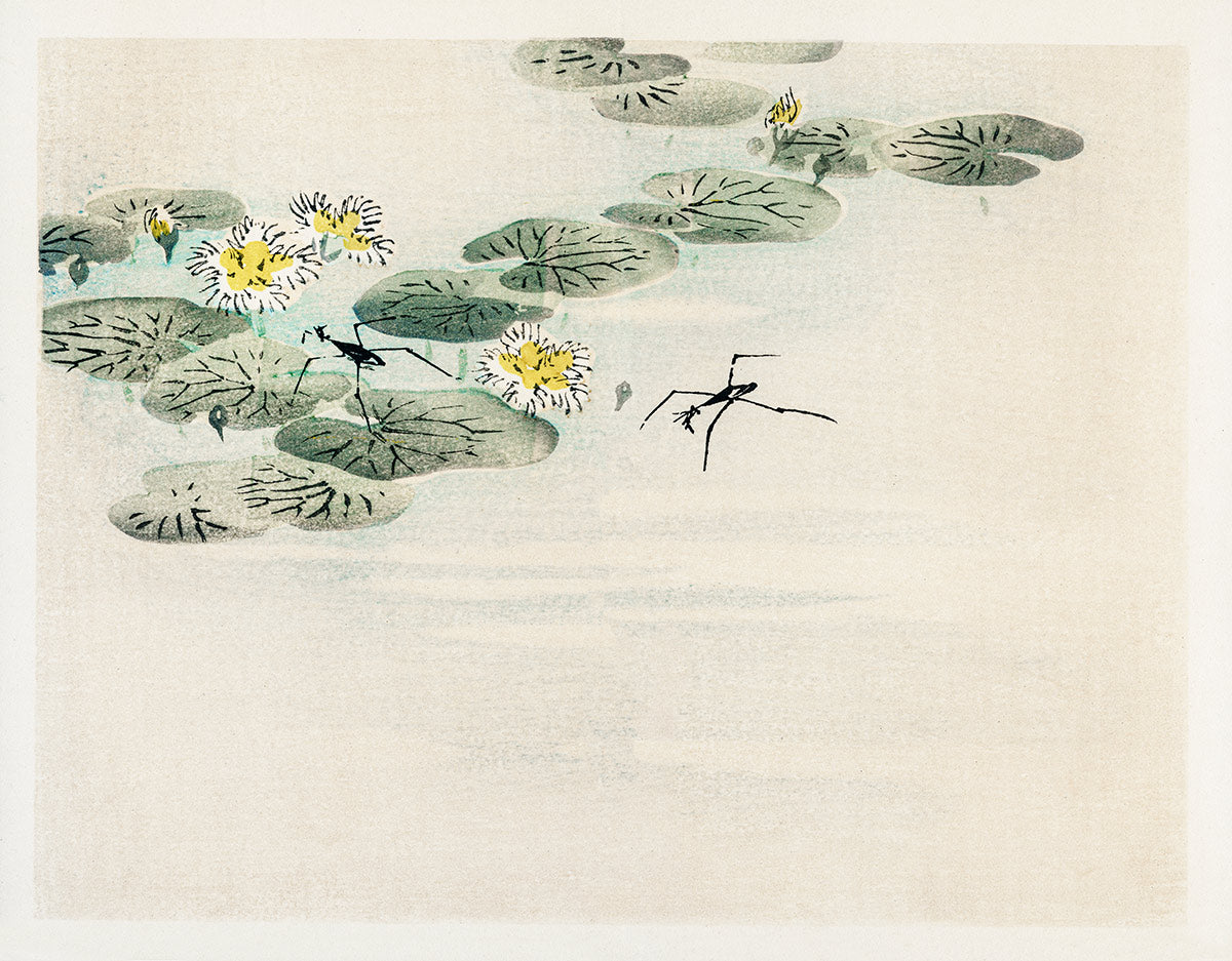 Serene Water Lily Pond Mural Wallpaper