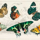 Butterfly Together Pattern Wallpaper Mural