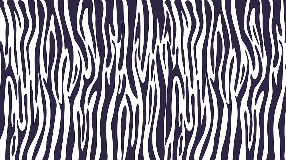 such is a zebra stripe animal skin wallpaper mural for use in interior design.