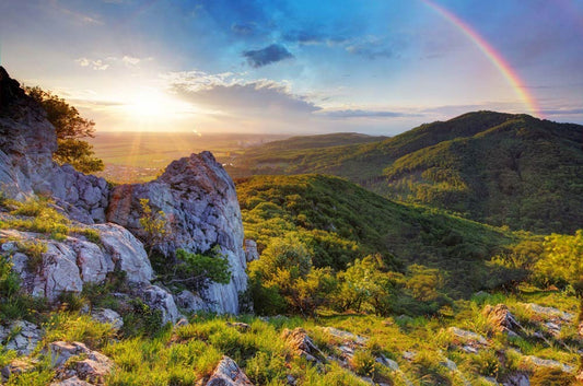 Home Decorating Wallpaper Mural Featuring a Rainbow Forest Scene