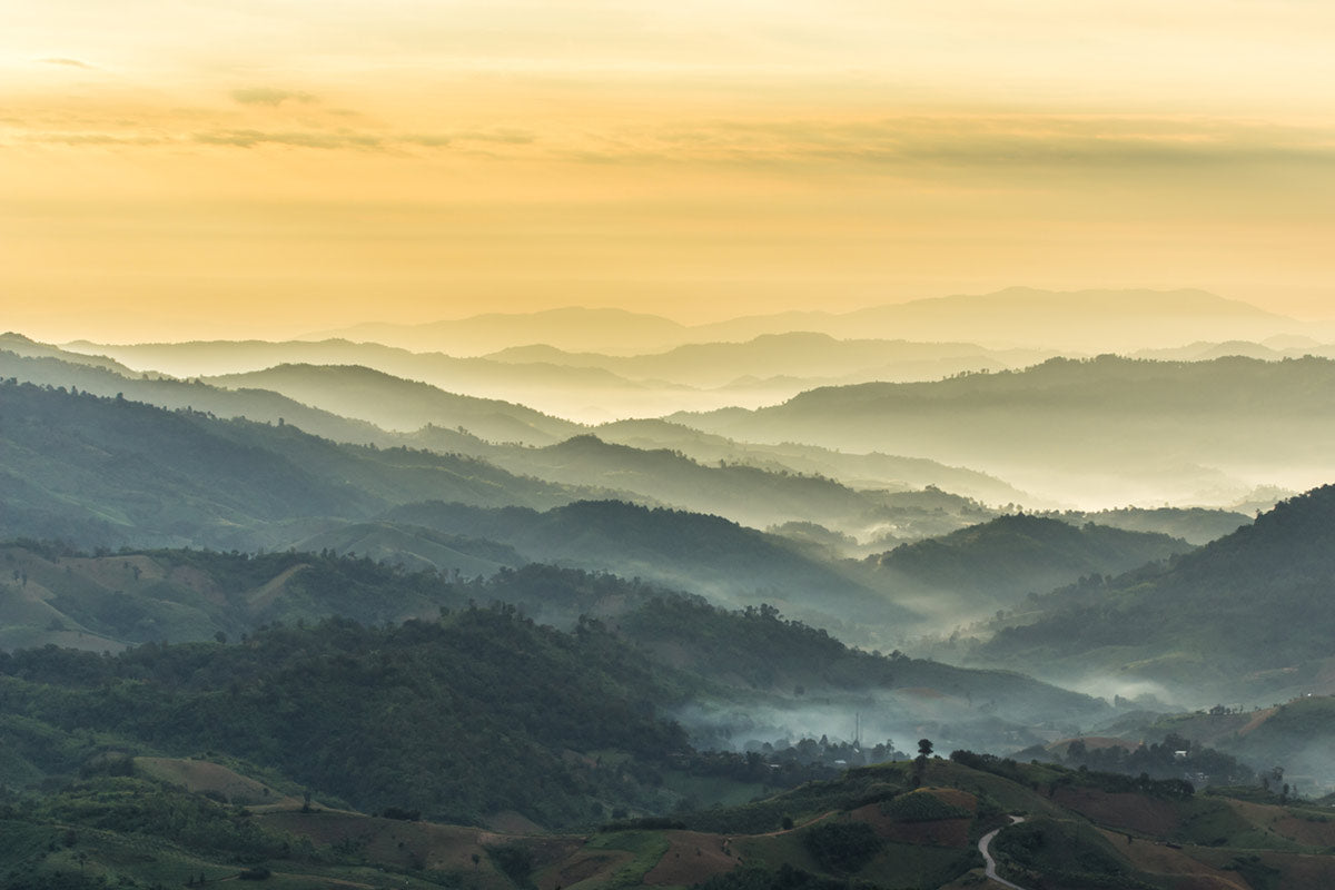 Misty Mountain Sunrise Panoramic Mural Wallpaper