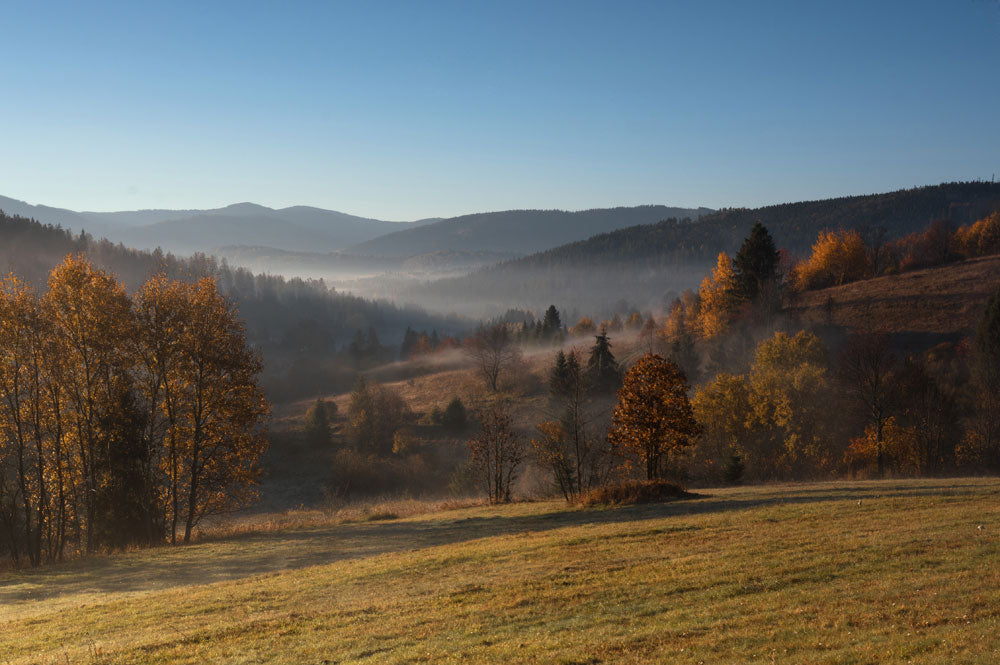 wallpaper of hills and trees with twisting paths