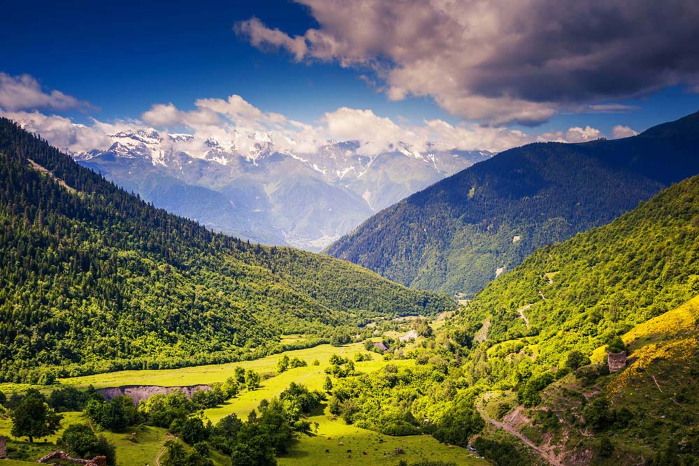 Wallpaper mural featuring a blue sky and a green forest