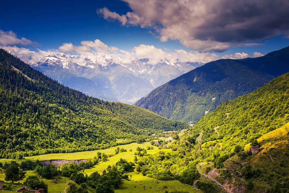 Serene Mountain Landscape Nature Mural Wallpaper