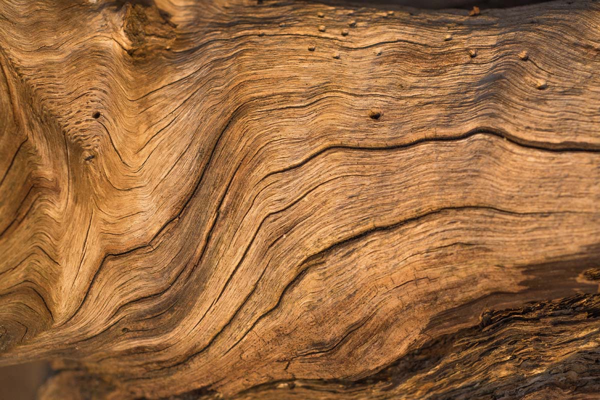 Rustic Natural Wood Grain Wallpaper Mural