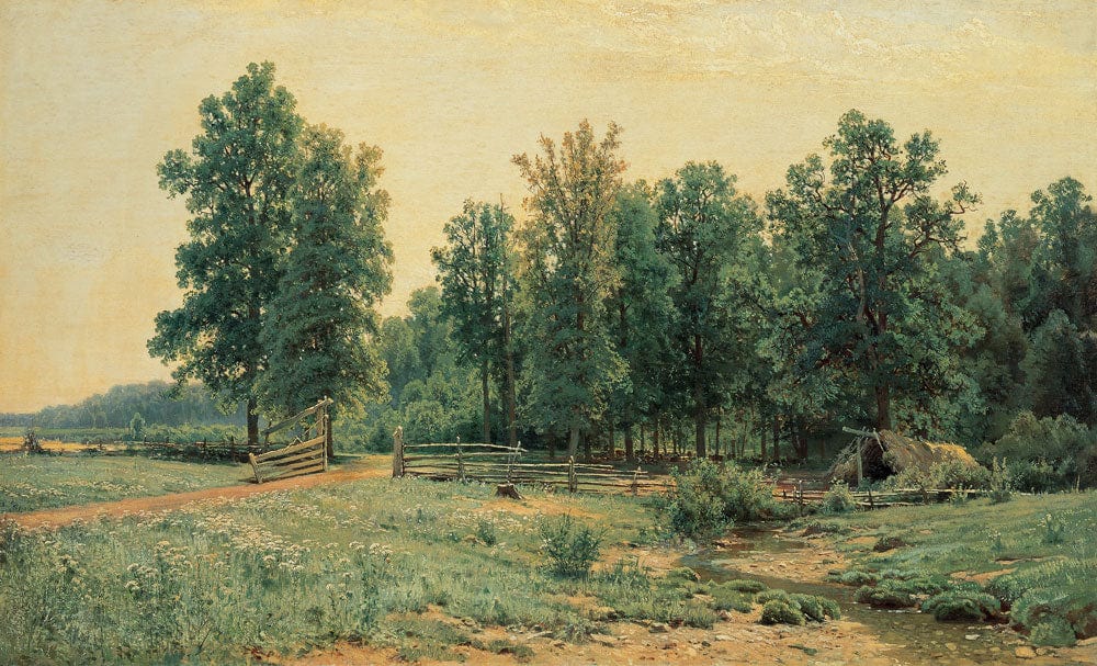 Tranquil Green Forest Landscape Mural Wallpaper