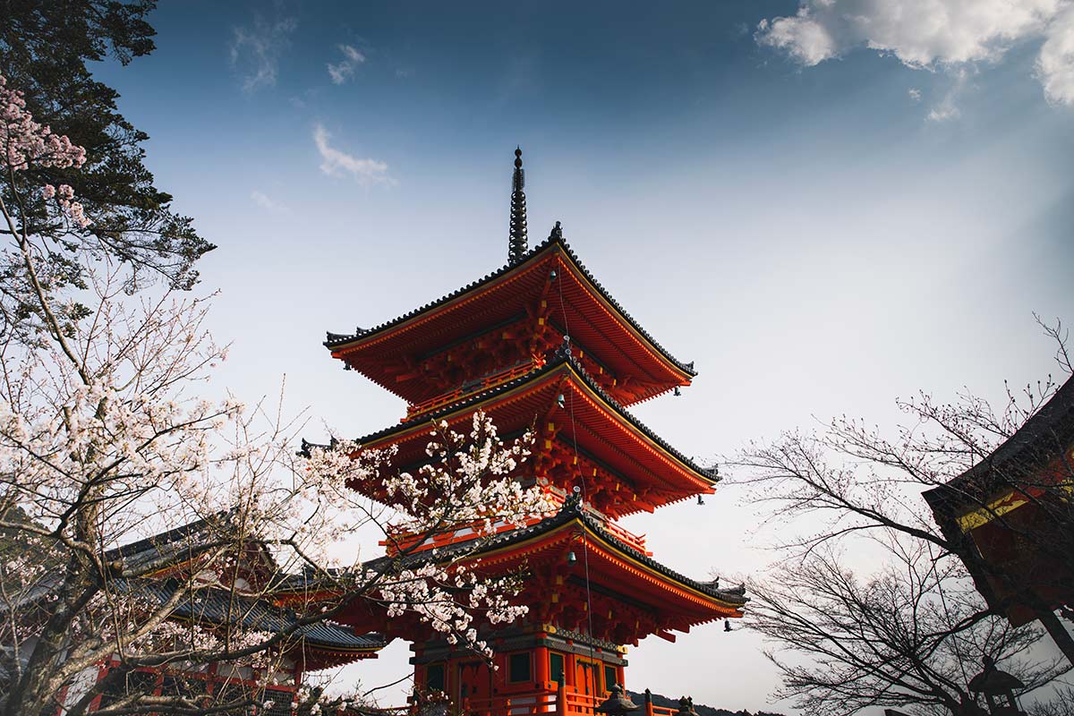 Japanese Cherry Blossom Temple Mural Wallpaper