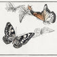Painting Butterflies Wallpaper Mural Art Design