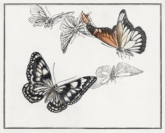 Painting Butterflies Wallpaper Mural Art Design