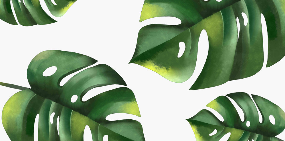 Tropical Green Monstera Leaf Mural Wallpaper