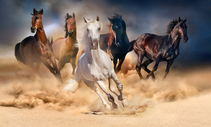 Majestic Galloping Horses Mural Wallpaper