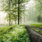 Home decor with a green forest mural wallpaper