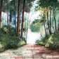 forest path wallpaper mural home interior design