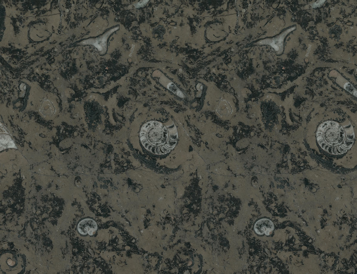 Luxury Marble Fossil Textured Mural Wallpaper