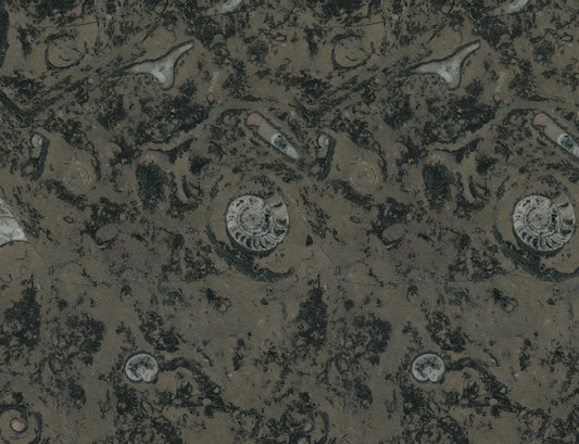 Dark Marble Stone Custom Wallpaper Mural Art Design