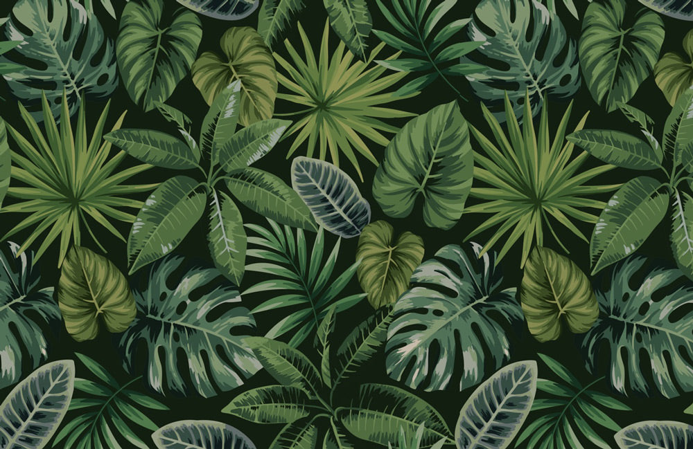 Decoration for the Home Consisting of a Tropical Leaf Wallpaper Mural