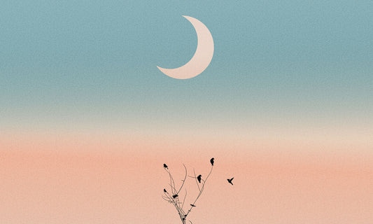 Serene Twilight Birds Silhouette Mural Wallpaper